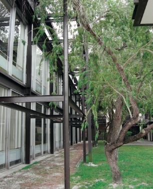 Learning to Love Postwar Design