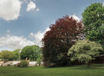 Best Practices Take Root at Historic New England