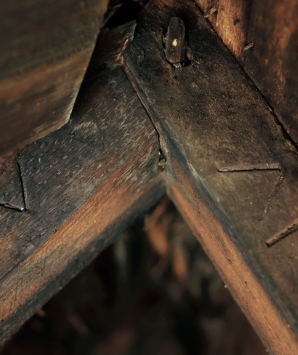 A Witness to Four Centuries in Salem