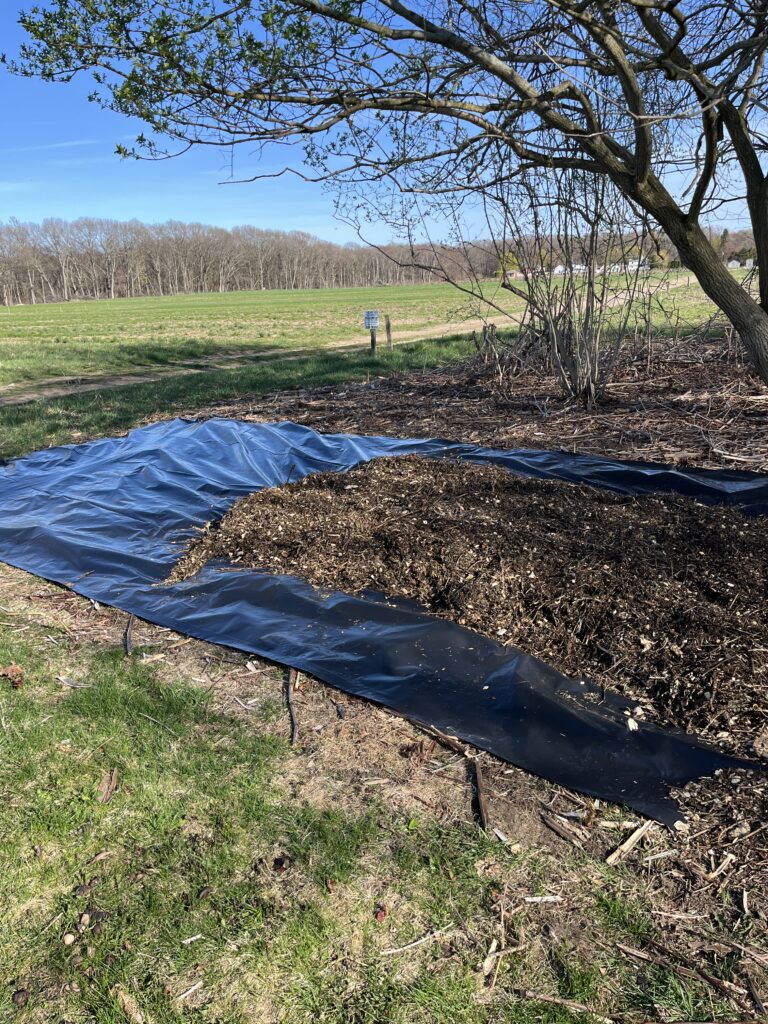 A compost pile on a black tarp in a grassy area beside a field with trees and a blue sky.