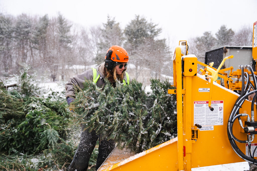Person feeding evergreen branches into a yellow woodchipper in snowy conditions.