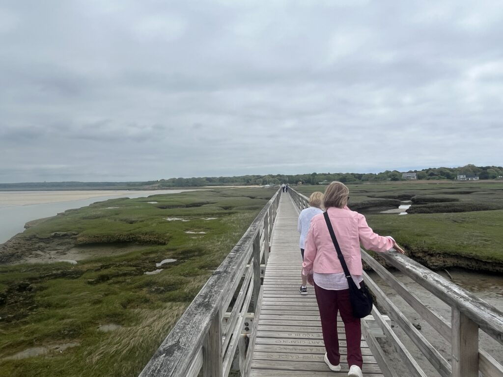 People walking on a wooden boardwalk through marshlands under an overcast sky.