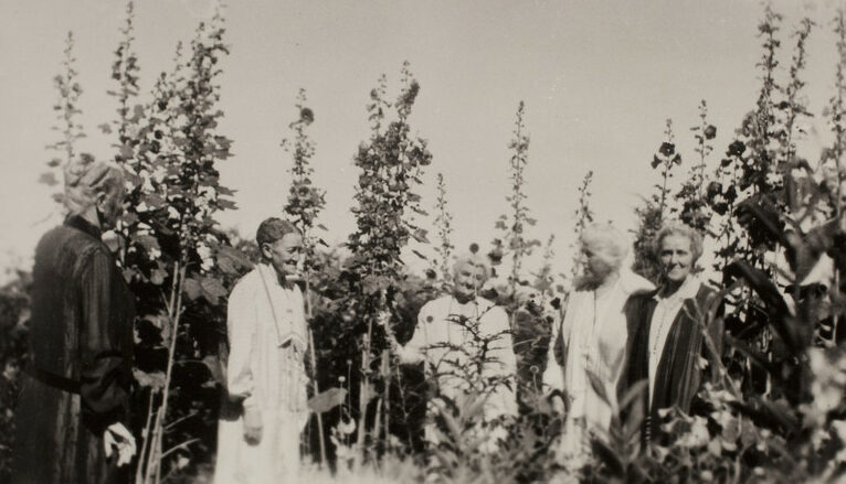 This photograph shows five women standing amid tall plants in the Marrett House gardens, Standish, Maine.