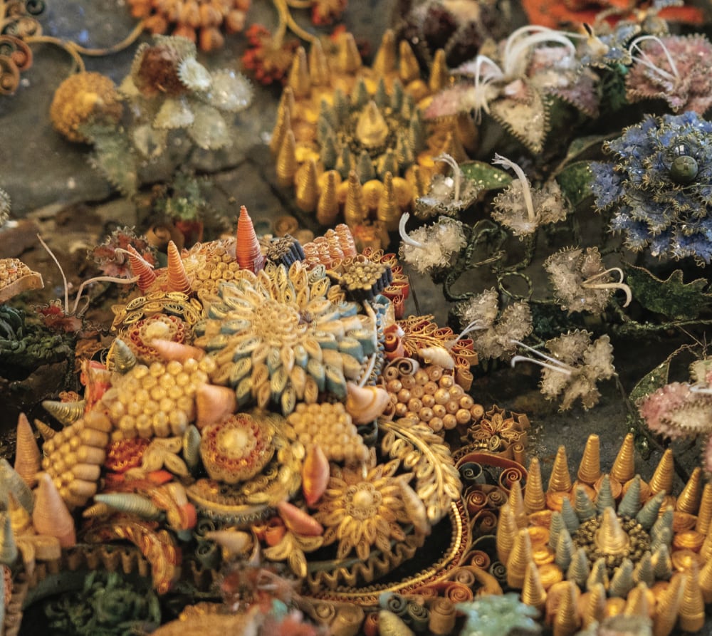 History in Bloom