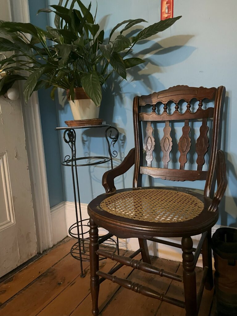 Wood chair with a cane seat next to a potted plant on a stand against a light blue wall.