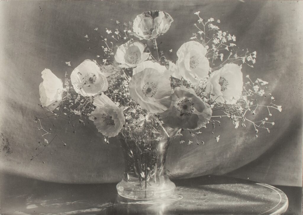 Black and white photograph of poppy flowers in a glass vase.