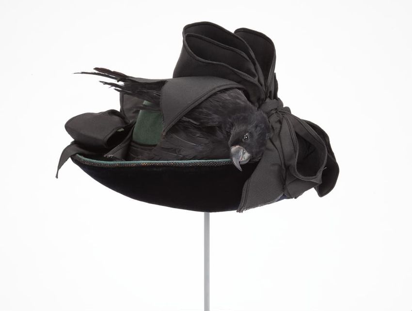 Ornate black hat with a taxidermied black bird and large fabric bows.