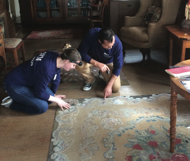 A Global Journey in Integrated Pest Management