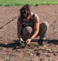 Spring Brings New Life to Historic New England