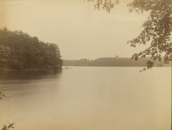 Calm lake landscape with trees lining the shore and soft light filtering through the sky, evoking a serene atmosphere.