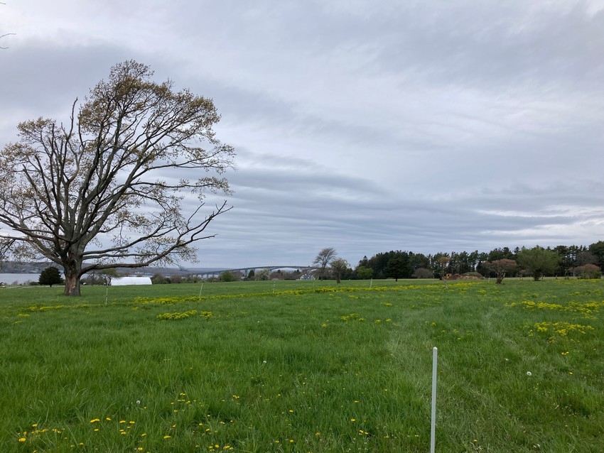 Wide mowed farm field