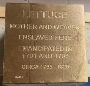 Lettuce of Madison, CT