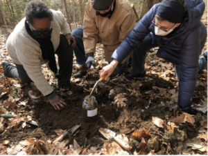 People participating in a soil sampling activity in a forest, using a trowel and observing findings.
