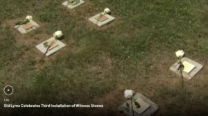 Four Witness Stones with white roses on grass commemorate history in Old Lyme's third installation.