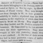 Arrest of fugitive slaves in 1849, reported in newspaper clipping, details capture and possession of mules and money.