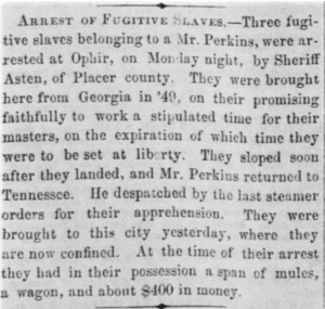 Arrest of fugitive slaves in 1849, reported in newspaper clipping, details capture and possession of mules and money.